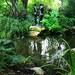 Forest Photography - Woodland Art - Secret Garden Photo - Emerald Green Home Decor - Large Fine Art Print - Reflection - Botanical Wall Art