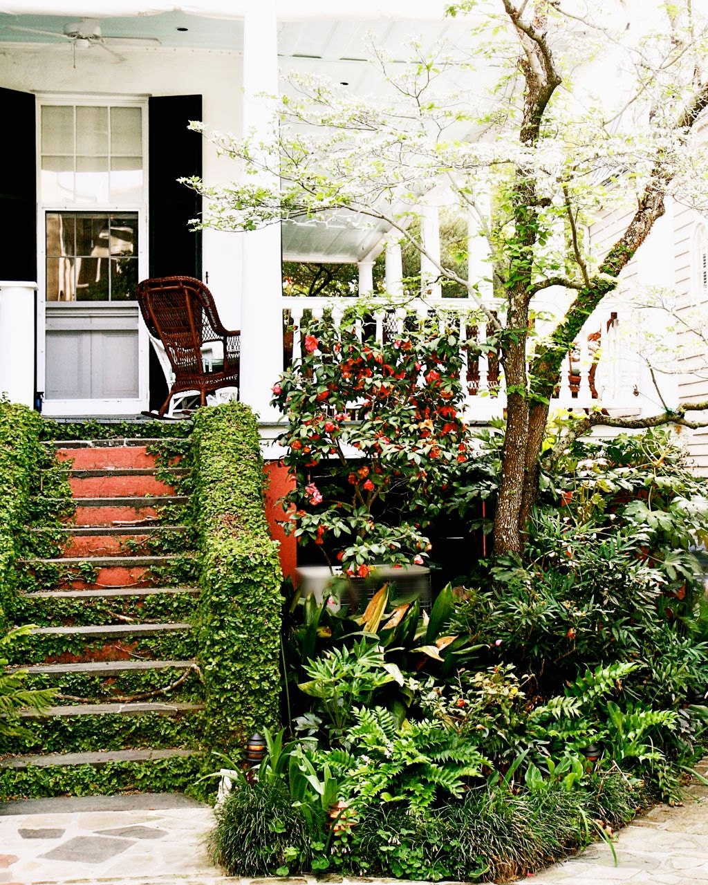 Charleston Photography - Southern Home Decor - Front Porch Photograph - South Carolina Art Print - Ivy Green Photo - White Red