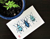 The Curculios - Snout Beetles - Original Watercolor Insect Art - 4 x 6"