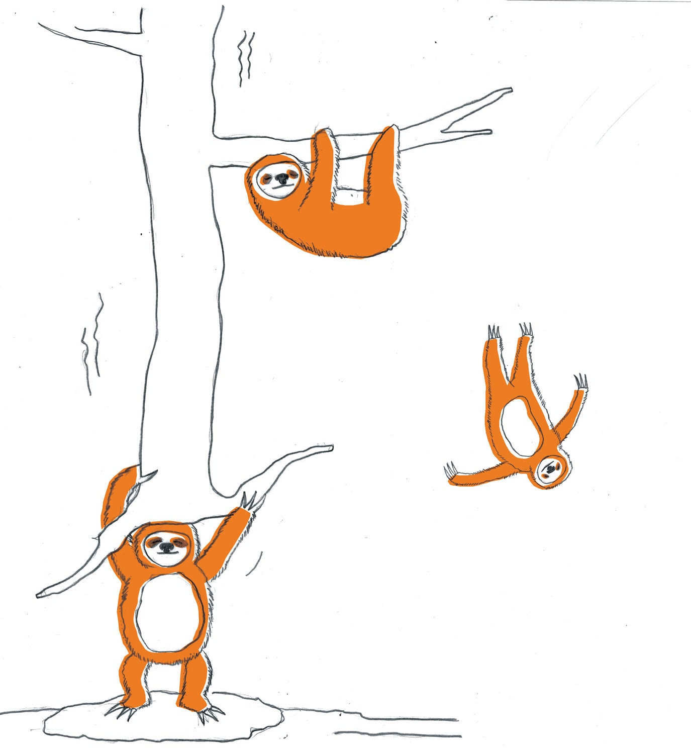 Sloths dreaming