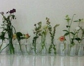 AUTUMN WEDDINGS. Eleven recycled mini milk  bottles / specimen vases .Great for weddings resturants.