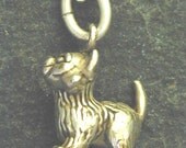 Sterling Silver Kitten Cat Pendant on a Sterling Silver Chain