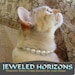 Pearl Cat Collar with Magnetic Safety Clasp