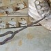 Antique Buttonhook Shoe Hook