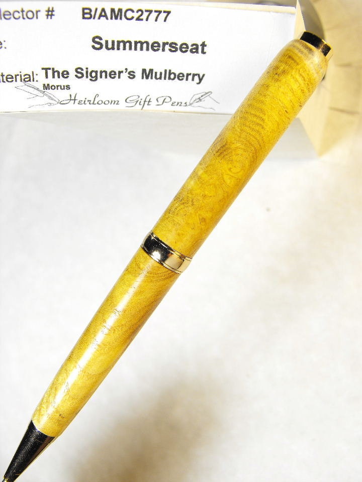 Law Professionals desk pen