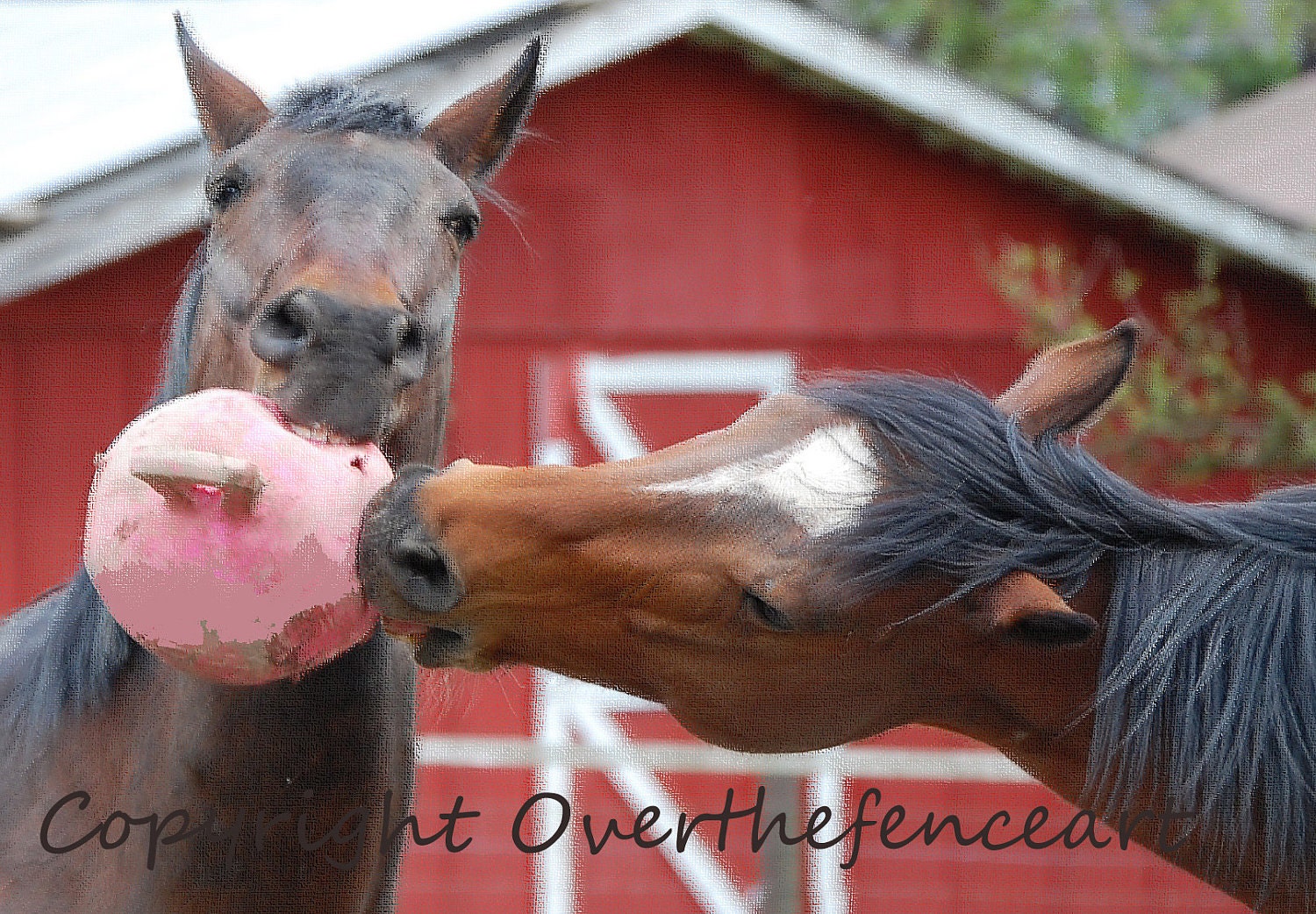 Pet Photography Art Card Horses Play With Pink Jolly Ball
