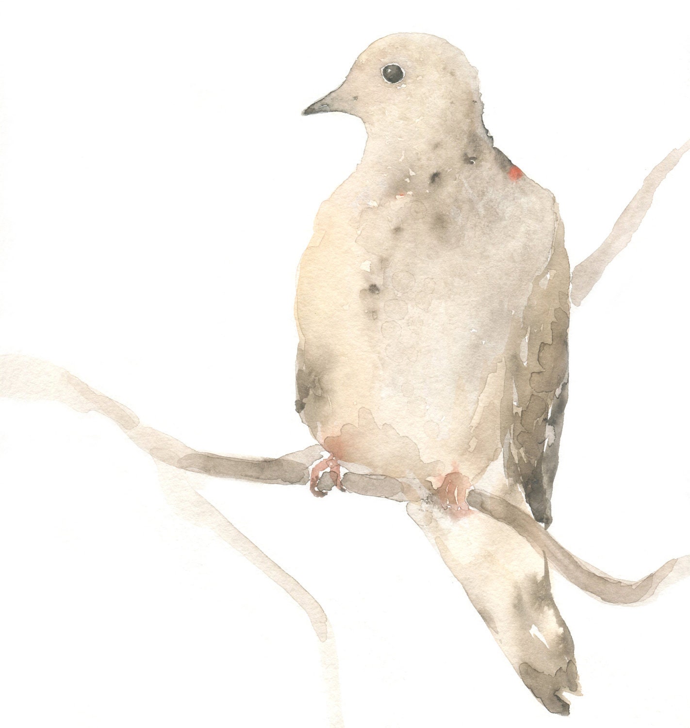Dove Original Bird Art Painting