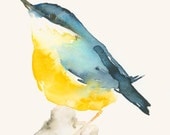 Blue and Yellow Bird - Fine Art Print from Original Painting