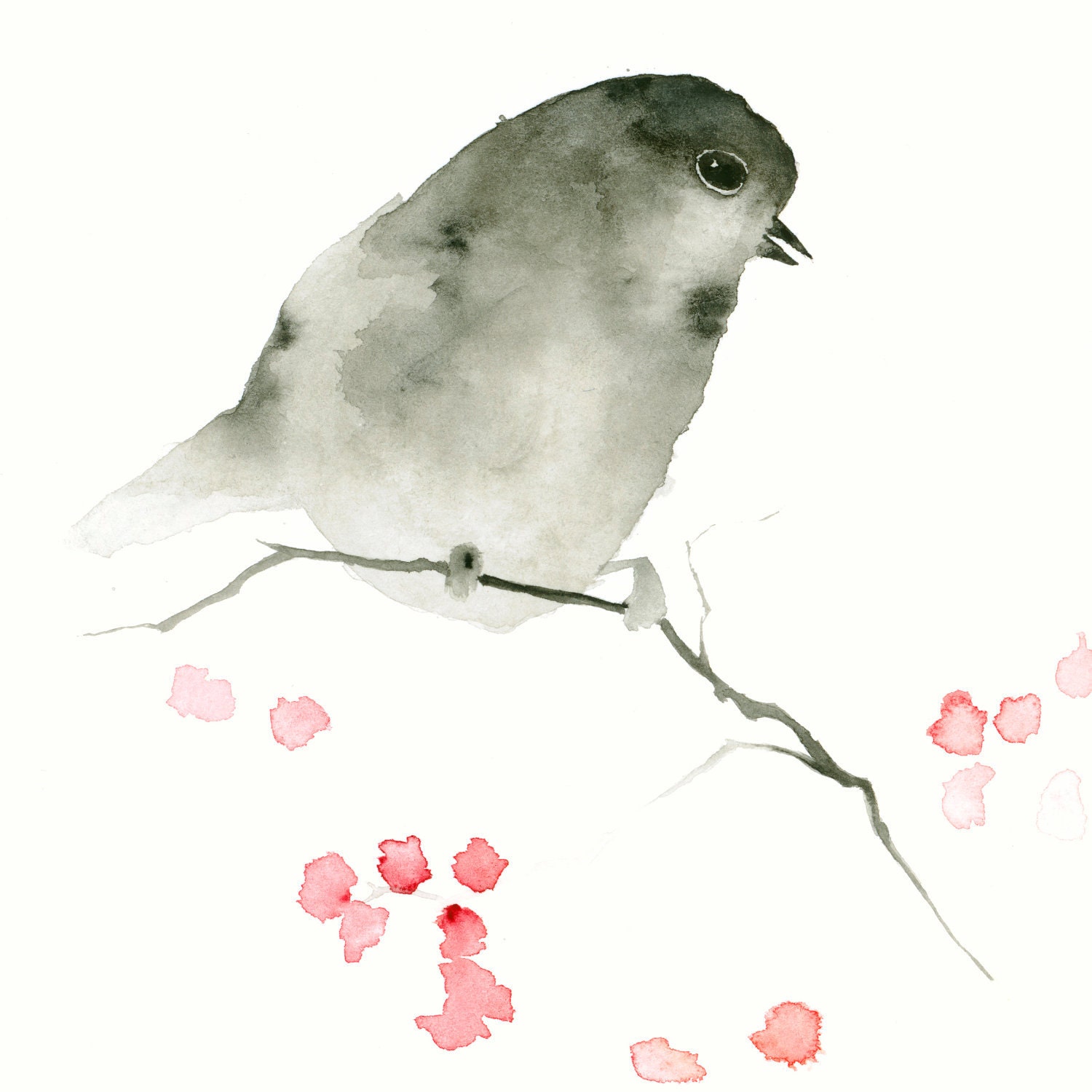 Bird Art Print - Little Black Bird