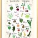 ABC Vegetable  Poster - 13 X19- Alphabet Art Print for kids and food lovers