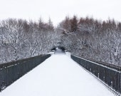 Winter Narnia landscape photograph, white snowy forest path in County Durham, England. Magical home decor. 8x10 fine art photo. UK seller