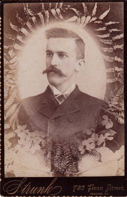 Framed By Ferns- Forever Remembered- Memorial- 1800s Vintage Cabinet Photograph