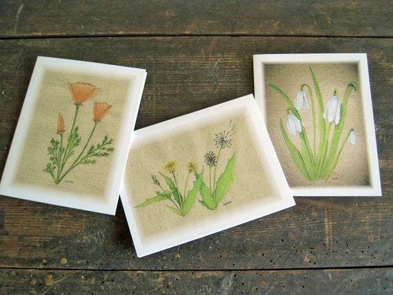 wildflower watercolor cards  set of six woodland dandelion poppy snowdrop tender shoots