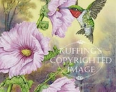 Hummingbird and Pink Hollyhocks 8.5 x 11 Giclee Fine Art Bird Print Signed A E Ruffing