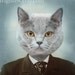 Cat Art, Mixed Media Collage Print, Mr. Gray, Ice Blue and Brown Altered VIntage Photograph, frighten