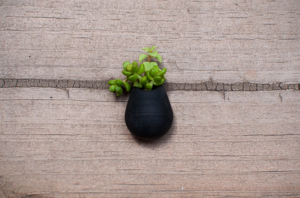 Wearable Planter No. 6, Lapel Pin, in Black