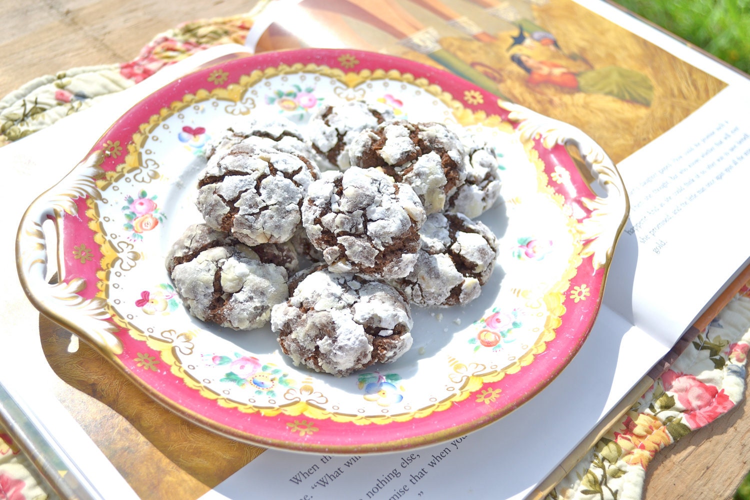 Cocoa Almond Spice Cookies - Two Dozen Rumpelstiltskin Powered Dusted Gold Confectioner's Sugar - Chocolate Nut Ginger Cinnamon