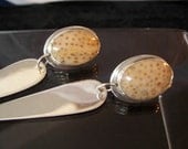 Ooak Huge Native American Sterling Silver & Rare  Petrified Palm Wood Earrings