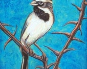 Sparrow - Original Oil painting, birds and nature