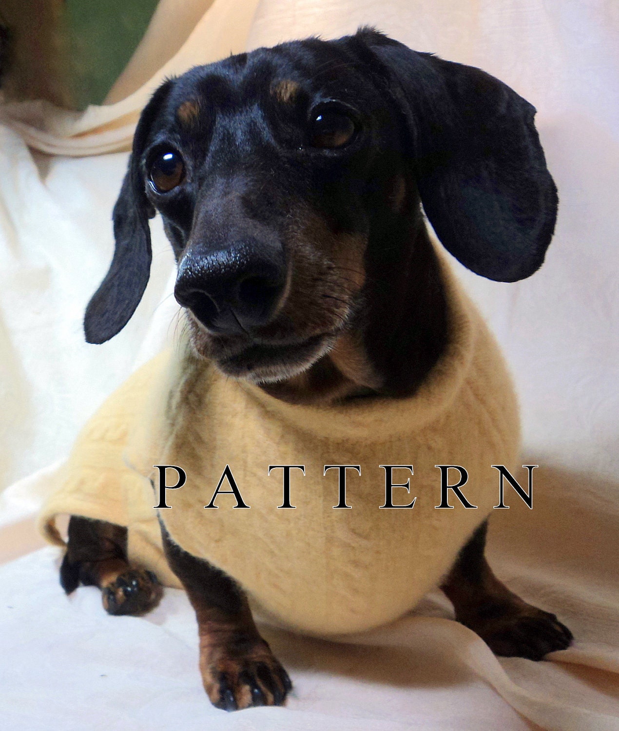Dachshund Pattern to Sew a Sweater & Snood handmade pets clothing