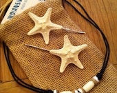 Gift Set : Two small starfish on bobby pin & a shark tooth necklace by IndianSummerGirls