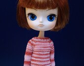 Blythe Dal Monster High doll size hand knitted sweater