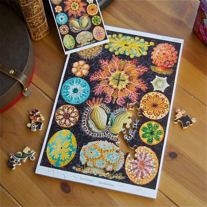 Jigsaw Puzzle, Handmade, Wooden, 100 pieces - "Ascidiae" by Earnst Haeckel