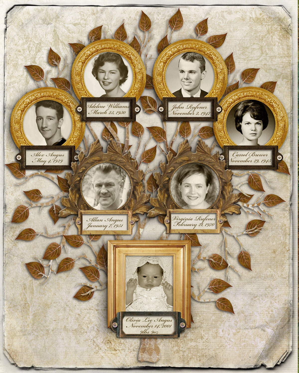 Family Tree - Three Generation 7 Person Custom Tree with Photos in Tan