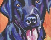 Labrador Retriever modern Dog art print black lab pop dog art bright colors 8x8 inch