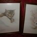3 Harrison / HOLD/PLS Do Not Buy/Prints SET/3 Kittens/ MidCentury /with Frames