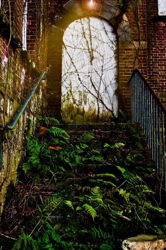 the acquisition of the lexicon