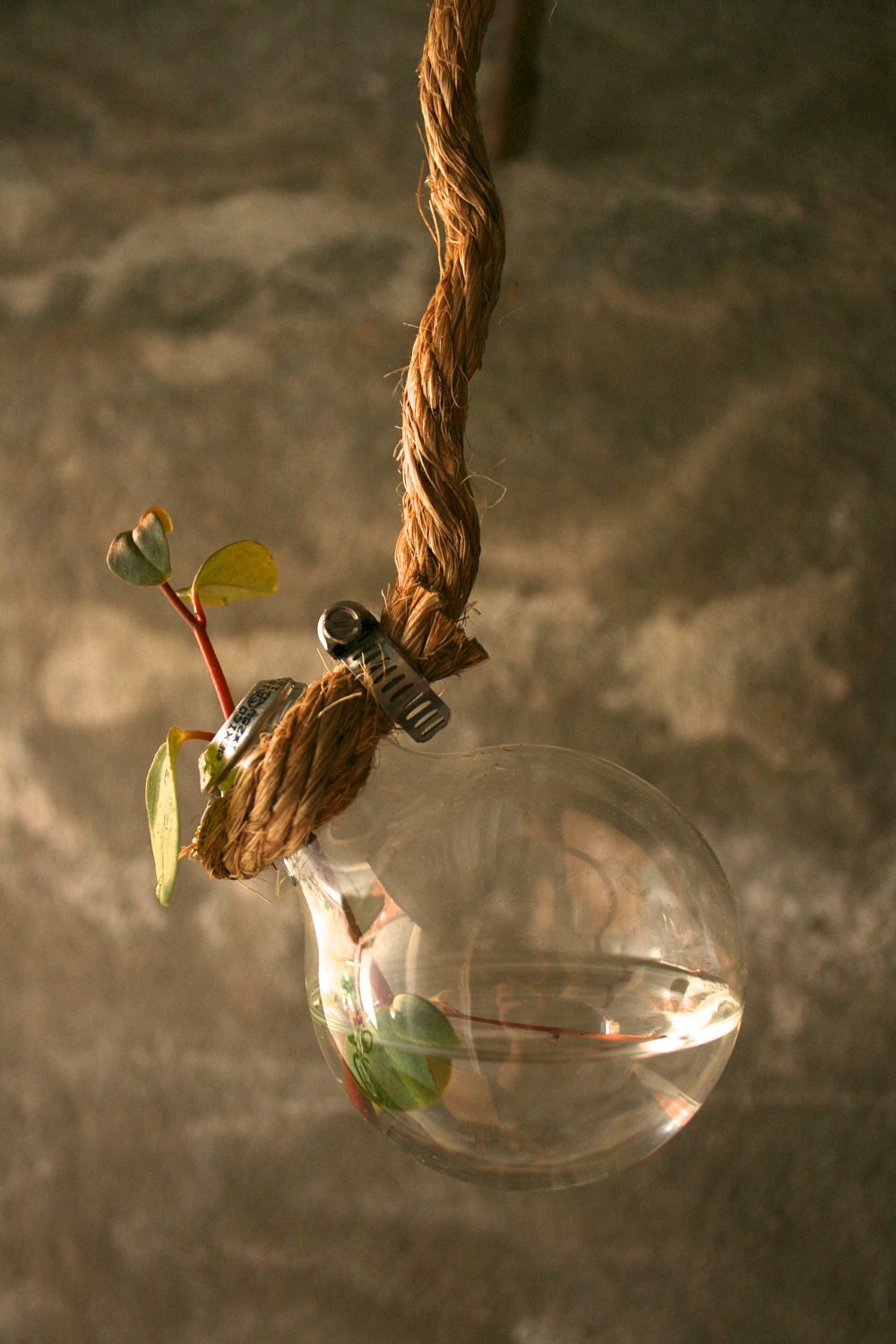 Shabby Chic Decor Hanging Lightbulb Vase Glass Vase Cottage Style - Rustic Rope Design