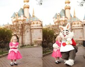 Aurora Dress - Size 2T-12