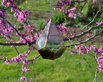 Teardrop Terrarium , glass terrarium with a hinged door -- stained glass -- copper or silver color -- eco friendly
