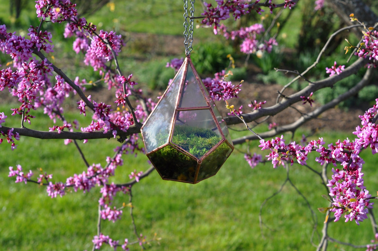 Teardrop Terrarium , glass terrarium with a hinged door -- stained glass -- copper or silver color -- eco friendly