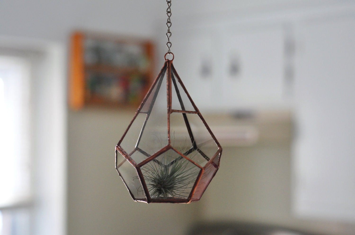 Hanging Teardrop Glass Terrarium -- for air plant terrarium or small succulent -- stained glass -- terrarium supplies -- eco friendly