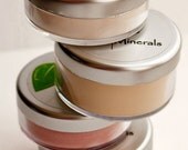 Perfect Face Kit No.3- 12 free samples, then exactly the right Foundation,  Blush, and Veil or Setting Powder, and Concealer- SAVE 8 DOLLARS