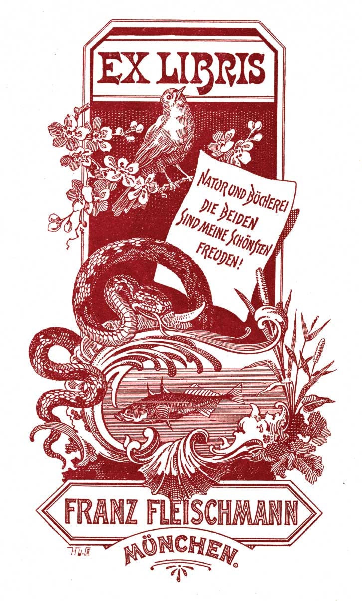 Antique Collectible Ex Libris Bookplate Giclee 13x19 Archival Ink Print. Collectible Paper Ephemera.