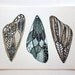 Moth Original Painting - Watercolor Art - Butterfly Wings, Nature, Neutral, Pattern, River Luna