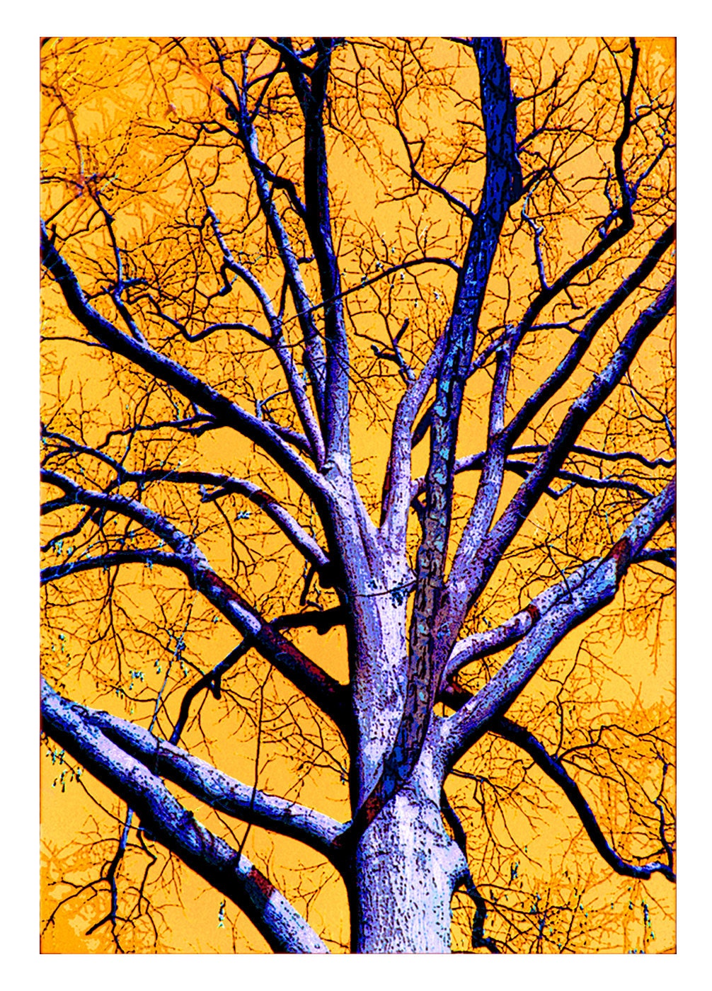 The Growing Tree Art Greeting Card, By TheLioness.  5 x 7 Premium Matte Plus  - Velvet like Texture, Surreal & Abstract