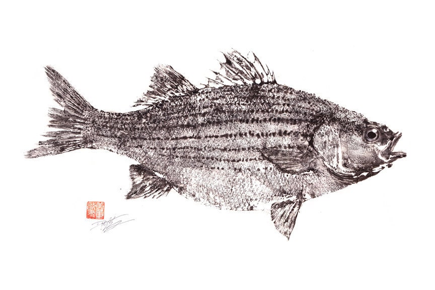 STRIPED BASS GYOTAKU Wiper Striper by on Etsy