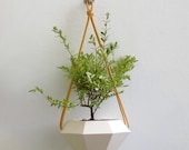 Diamond Hanging Planter