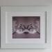 Flower Photography, Rorschach, Ethereal Photo, Surreal Art