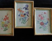 Shabby Chic Italian Style Vintage 3 Floral Prints w/ Frames