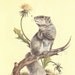 Vintage Animal Print, Nursery Art Gift, Book Illustration to Frame, Vintage Home Decor, Natural History, Squirrel