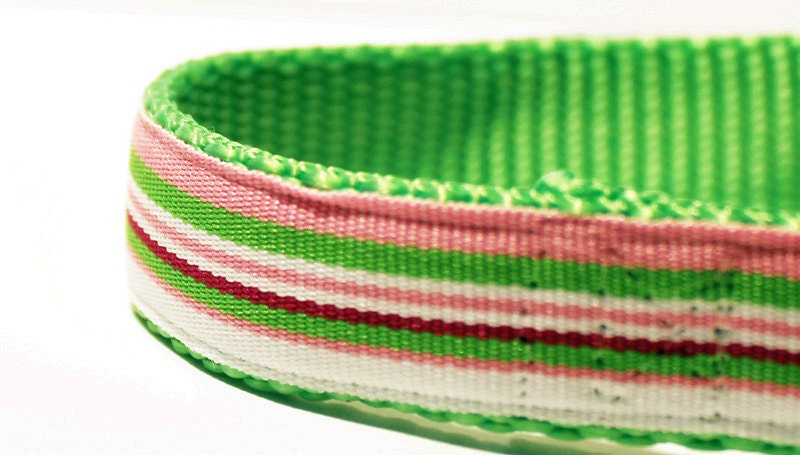 Preppy Dog Collar - Pink and Green Stripes 3/4" wide - TheWhiteSchnauzer