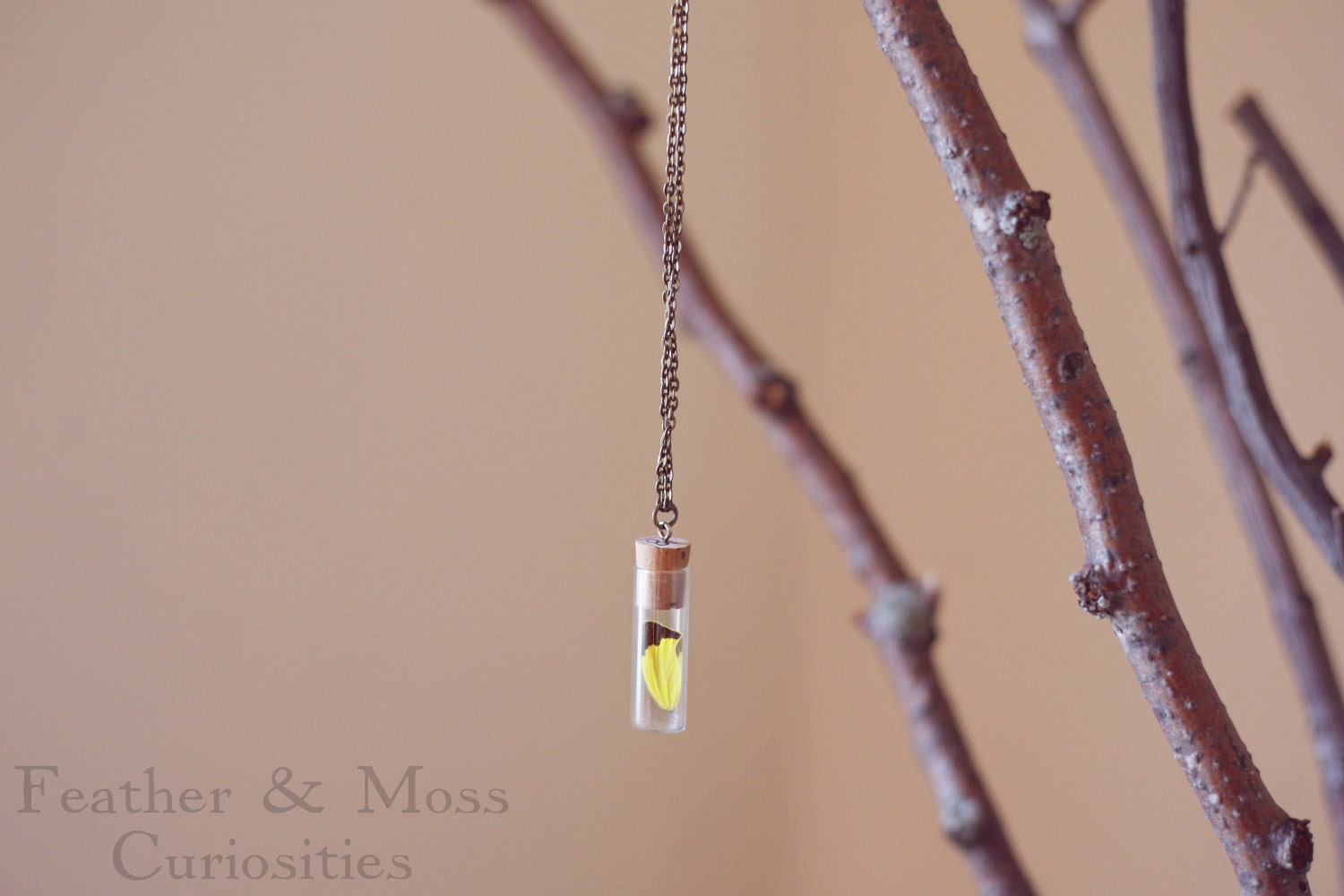 RESERVED Lepidoptera Necklace Number 002. Yellow and black butterfly wing in vintage vial.