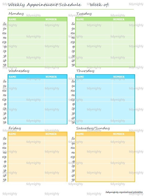 Weekly Appointment Planner / Schedule Printable PDF