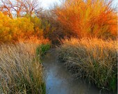 River photography - Landscape photos of a River and water- Nature photography, large wall art prints- Orange,Chartreuse,Tan, Blue, Green