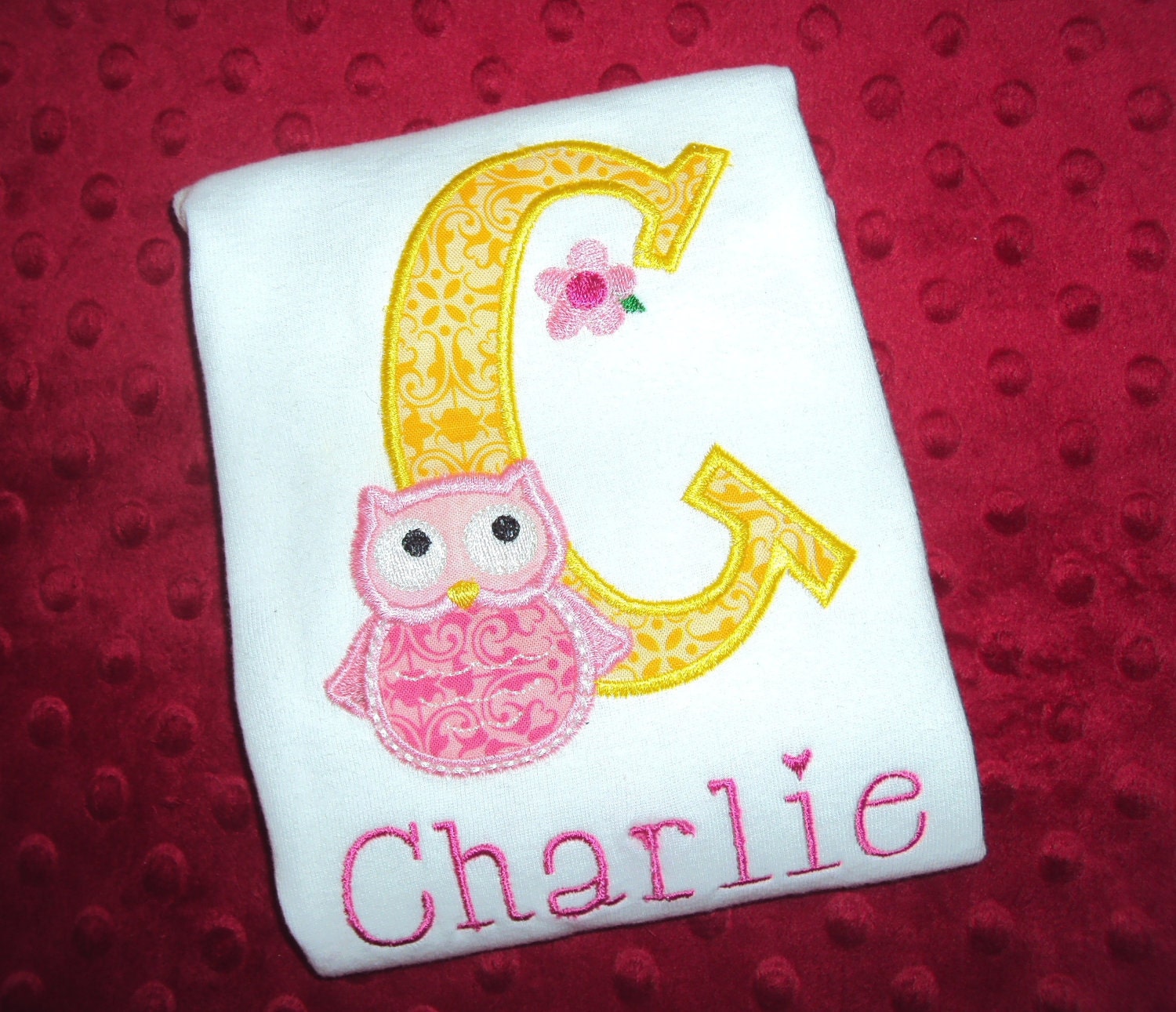 Owl tshirt/owl birthday/ owl first birthday/owl party/owl decoration/owl applique tshirt
